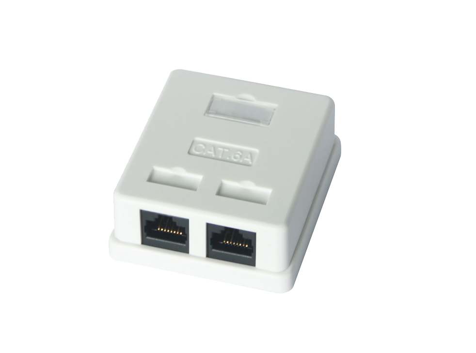 SFP-SA2101 双口桌面盒 CAT6a