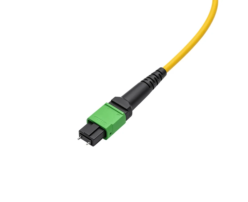 MPO/MTP Data center transmission trunk