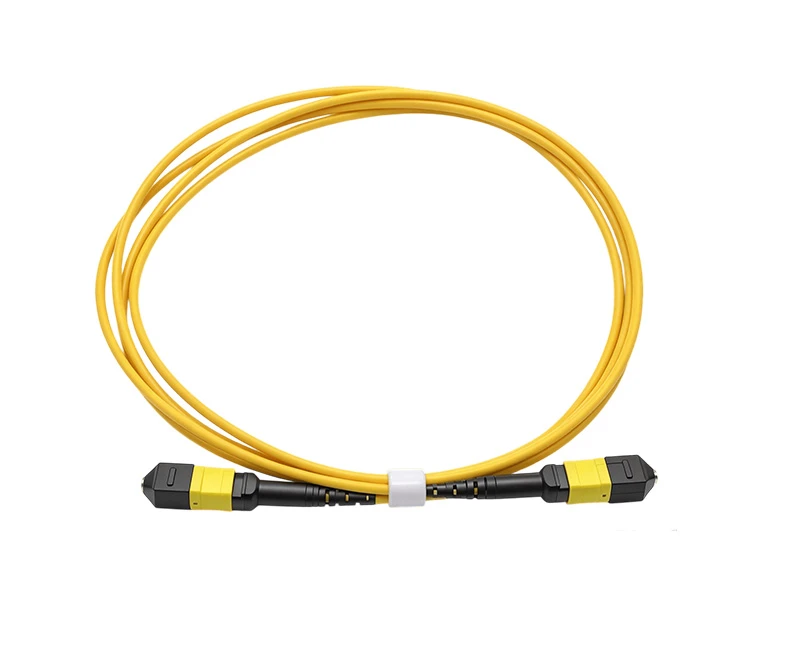 MPO/MTP Data center transmission trunk