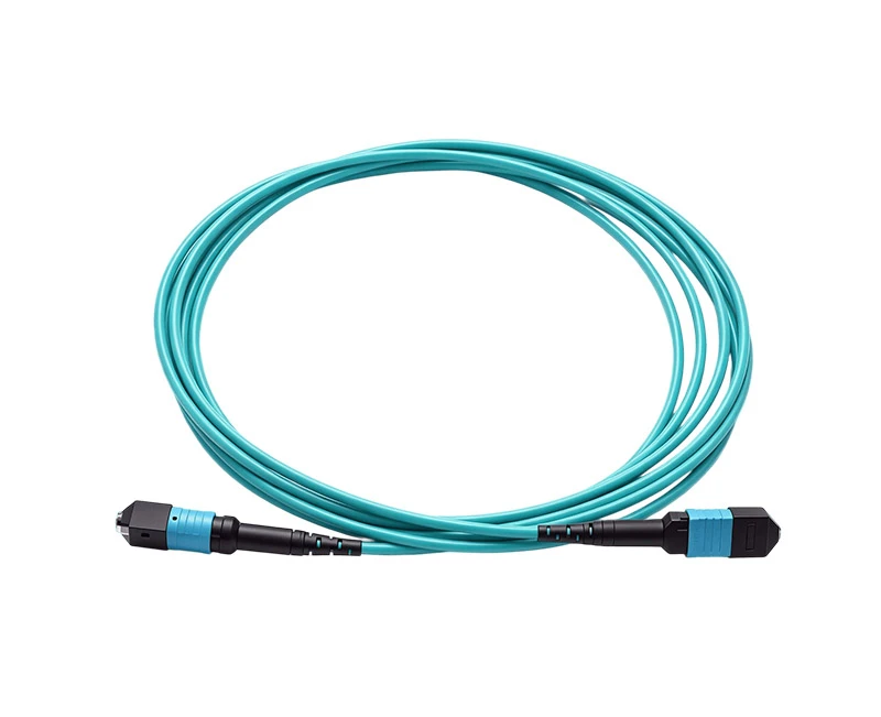 MPO/MTP Data center transmission trunk